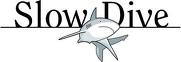Slowdive Reisen