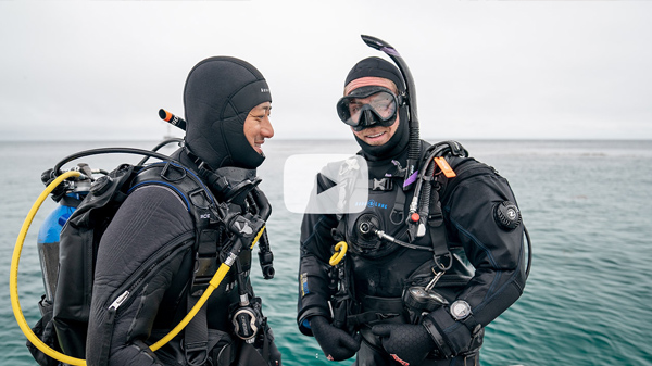 tl_files/submariner/Galerie/PADI_supportDC_corona_youtube.jpg